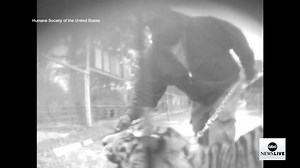 26K views · 124 reactions | Roadside zoos and so-called animal sanctuaries promoting human-animal interactions are under scrutiny amid reports that they can be hazardous to the wellbeing of visitors and animals alike. ABC News' Erielle Reshef investigates. | ABC News Live | Facebook