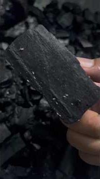 1 Week Springtail Culture Update |Feeding with Brewer’s Yeast + Growth Check #springtails #bioactive