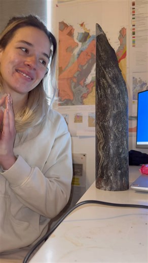 Folds in rocks and that #geology #geologist #scottishgeology #scottishgeologist #reelsaboutrocks #tiktocksaboutrocks #nature | Scottish Geologist