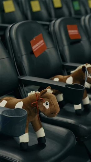 Telekom Center Athens on Instagram: "Σήμερα, 16/12, τιμούμε τη μνήμη του Αλέξανδρου Δαρδώνη. Ένα παιδί που, μόλις στα 13 του χρόνια, δίδαξε σε όλους τι σημαίνει γενναιότητα, δύναμη ψυχής και αξιοπρέπεια. Το after movie του τουρνουά μπάσκετ που φέρει το όνομά του δεν είναι απλώς η καταγραφή μιας διοργάνωσης· είναι μια υπενθύμιση αγάπης και η συνέχεια του φωτός που άφησε πίσω του. Κάθε στιγμή στο Telekom Center Athens, κάθε χαμόγελο, κάθε πράξη προσφοράς, αποτελεί έναν μικρό φόρο τιμής στον δικό τ