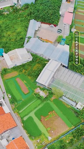 Kunci sukses bertani itu bukan cuma tanam, tapi juga mengatur hasil panen, menghitung biaya produksi, dan menentukan strategi penjualan adalah bagian penting yang sering dilupakan. Selama petani belum tahu berapa biaya yang dikeluarkan, sulit menentukan harga jual yang ideal. Akibatnya, banyak yang masih tergantung pada tengkulak sehingga hasil sering tidak sebanding dengan kerja keras petani. | Cap Capung