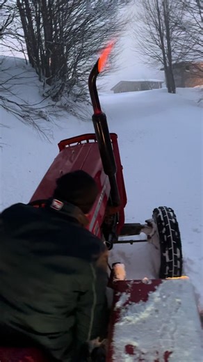 #massey #ferguson #165 #212canavar