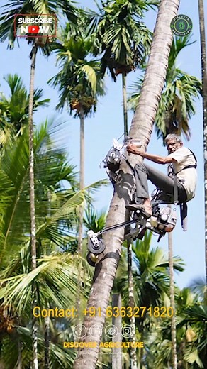 23K views · 4 comments | Amazing Coconut Tree Climbing Bike / Machine ##coconutclimbingbike #coconut #treeclimbing #machine #bike | Discover Agriculture | Facebook
