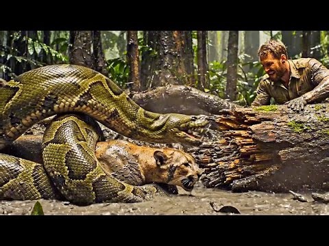 Mother Leopard Attacked by Giant Python - Most Dramatic Rescue Mission 🐆