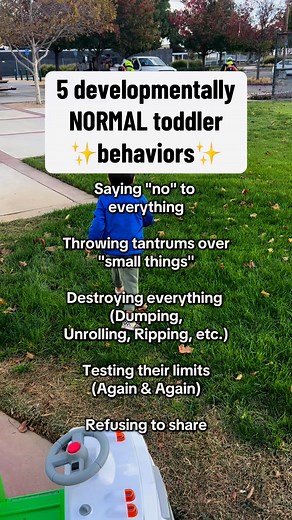 245K views · 1.7K reactions | Does your toddler exhibit any of this behavior? IT’S DEVELOPMENTALLY normal! 易 The best thing you can do is MODEL & re-direct over making it a BIG deal to say things like “no! Don’t do that!”#montessori #montessoriathome #montessoritoddler #praise #childdevelopment #cde #ece #parenting #positiveparenting #consciousparenting #newmom #firsttimemom #boyMom #girlmom #boydad #girldad | motherhood.and.montessori | Facebook