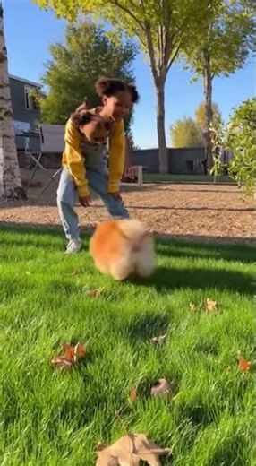 Learning Colors with Fun Toys! 🌈 #Shorts #Kids #Colors 🎊