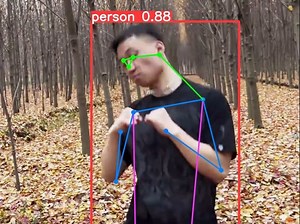 【YOLO关键点检测】YOLO暴力追踪测试