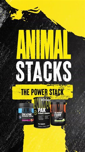 Animal Power Stacks | Fuel Your Hardest Workouts