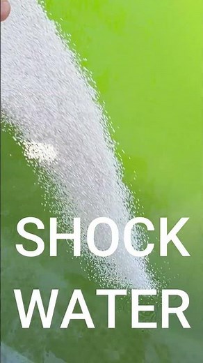 Green to Blue Swimming Pool Water / Clear up Green Pool Water