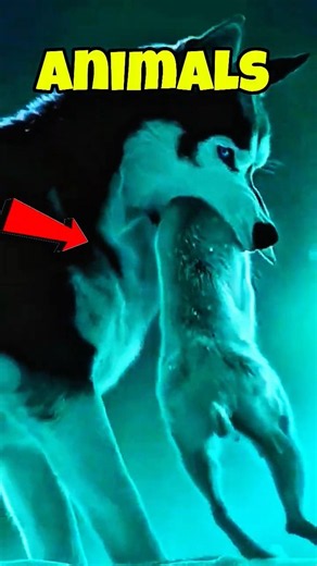 Animals That Turn Scary in the Dark 😳🌙 #ScaryAnimals #AnimalFacts #Shorts #pets
