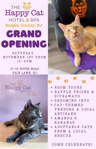 Grand Opening of Happy Cat Hotel & Spa in Bergen County