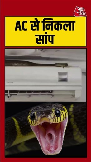 AC से जब निकला सांप | #snake #shorts #viral