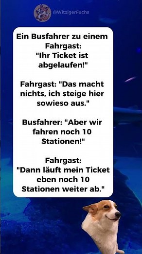 Ein Busfahrer zu einem Fahrgast 🚍🤣