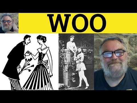 🔵 Woo Meaning - Wooed Defined - Wooing Examples - Woo Explanation - Woo in a Sentence 3 Letter Words