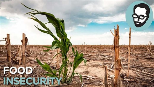 This farming method claims to heal the land
