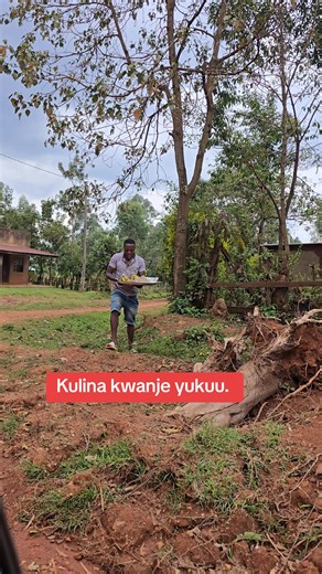 Wilber4ceTheBrand (@var_kenya_254)’s videos with original sound - Wilber4ceTheBrand