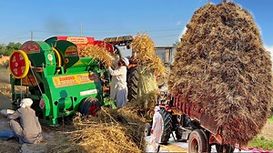 23K views · 135 reactions | How Farmers Use Machines to Harvest and Threshing Million tons of Wheat in Village #amazing #wheat #villagelife #village #harvest #threshar #machine #agriculture #farming #farmer | NexaMech Media | Facebook