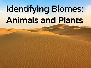 Biomes