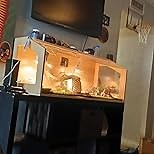 75 Gallon Large Lizard Tank, Reptile Terrarium, Lockable Clear Acrylic Roof, Bearded Dragon Tank with Feeding Tongs, Snake Enclosure, Reptile Cage for Leopard Gecko, Hamsters, 48" L x 20" W x 20" H