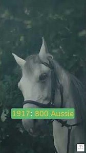 5 INSANE Moments That Happened on October 31! 🤯 #OnThisDay