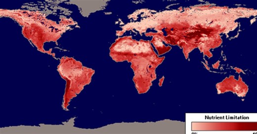 Climate Change & the Global Order