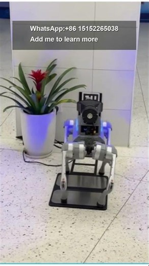 Go2 Robot Dog Demonstrates Autonomous Charging