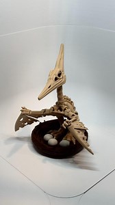 3D Printed Pteranodon Skeleton Model: Dinosaur Fossil Desk Decor - Etsy