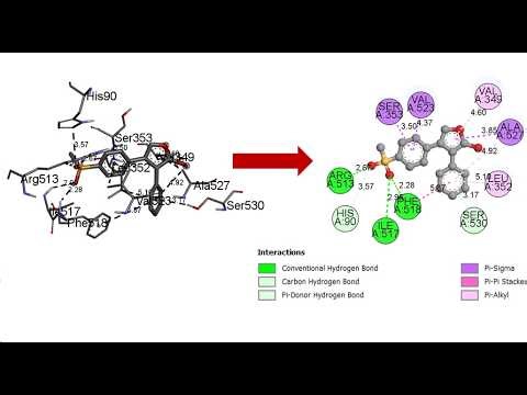 How to perform non bonding interaction analysis using Discovery Studio Visualizer
