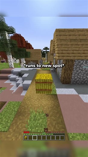 Minecraft Hay Bale Hiding Challenge