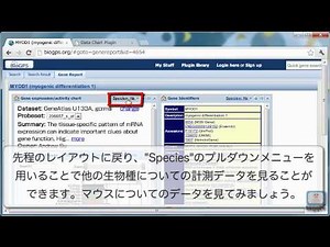 遺伝子発現プロファイルデータベースBioGPSを使い倒す