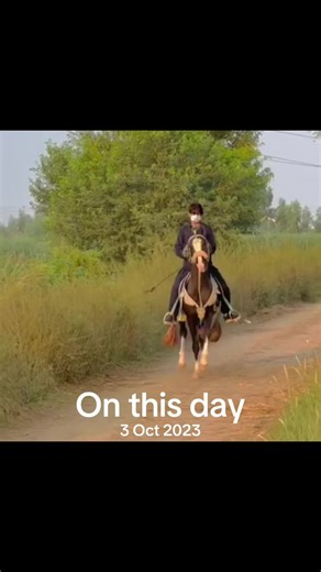 Significant Events in History on October 3