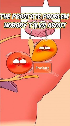 The Prostate Problem Nobody Talks About