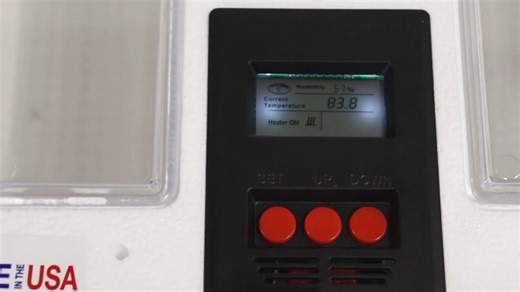 Watch Little Giant 9300, 10300, 11300 and 12300 Digital Incubators on Amazon Live