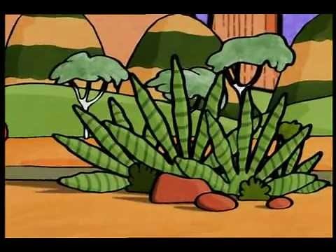 Boo! - Australian Bush