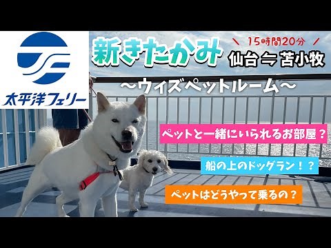 【太平洋フェリー新きたかみ⛴】ウィズペットルームどんな感じ？船の上のドッグラン❗️❓【愛犬2匹と夏の北海道旅行２０２１】