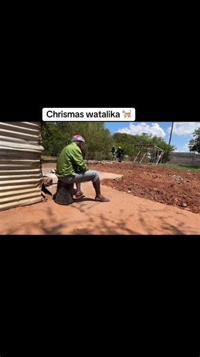 Christmas Gone Wrong: Hilarious Comedy Moments