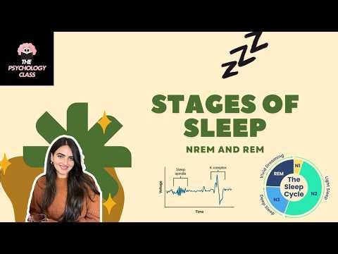 Stages of Sleep Explained: NREM vs REM