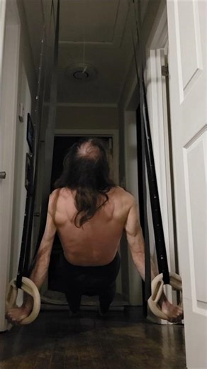 Rings Reverse Plank Overcoming Isometric: Muscle Action Back View