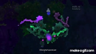 Photosynthesis on Make a GIF
