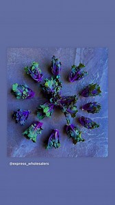 Sydney Markets on Reels | Facebook