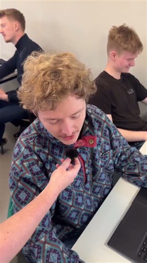 Formula Student ASMR with AU Dolphins