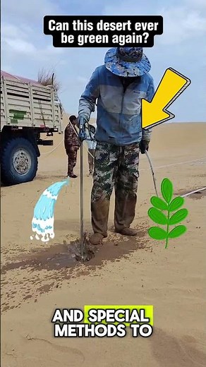 Turning the Desert Green! Amazing Greening Techniques
