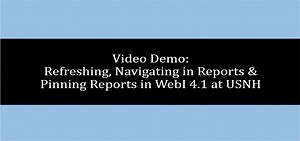 WebI 4.1 Refreshing Reports