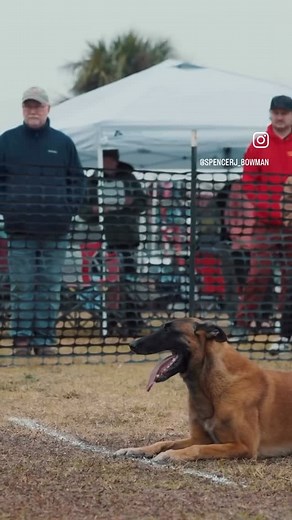 1.2K reactions · 30 shares | French Ring tip Sending your dog to a “place” after the horn for the palisade can be a good way to correct your dogs placement before they jump this can also be done on the hurdle #frenchring #frenchringsport #frenchringtraining #ringfrances | Spencer Bowman | Facebook