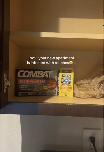 Living With Roaches: My Apartment Nightmare