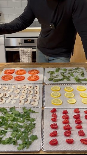 La deshidratación de alimentos como método de conservación se ha utilizado durante siglos. Aunque es difícil determinar exactamente cuándo comenzó esta práctica, se sabe que diversas culturas han empleado métodos de deshidratación a lo largo de la historia. Históricamente, las civilizaciones antiguas utilizaban la deshidratación natural al exponer alimentos al sol y al viento. Este proceso permitía que los alimentos perdieran su contenido de agua, lo que ayudaba a prevenir el crecimiento de micr
