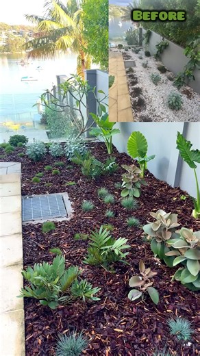 🌿 BEFORE & AFTER LANDSCAPE TRANSFORMATION 🌿 From plain to perfect — see how we turned this outdoor space into a stunning green escape 🌸✨ At Elie Landscaping, we handle everything from: ✅ Full garden design & plantation ✅ Landscape makeovers & clean-ups ✅ Irrigation systems & regular maintenance ✅ Fertilization & plant care Bring life back to your garden — we’ll design, plant, and maintain it all for you 🌱 📞 Call or WhatsApp: 0415 140 424 📧 Email: info@elielandscaping.com.au 🌐 Website: www