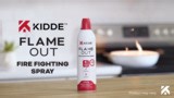 Kidde Kidde Flame Out Fire Extinguishing Spray 17.6 oz., KAP-14K 21032937