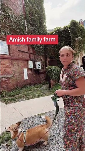 "I just got a puppy from an Amish breeder!"