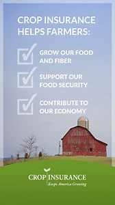 When disaster strikes, farmers need a reliable way to recover and keep growing. That’s where crop insurance comes in – supporting our food supply, rural communities and economy. | Crop Insurance Keeps America Growing